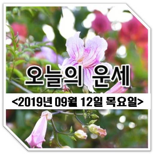  오늘의 띠별운세[2019년 09월 12일 목요일]