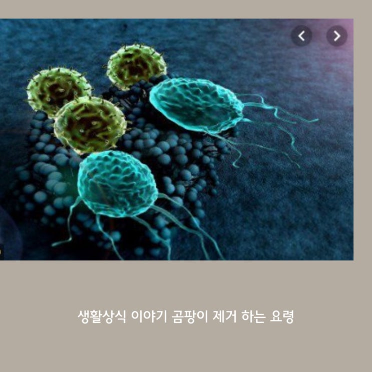  생활상식  이야기   곰팡이 제거 하는 요령