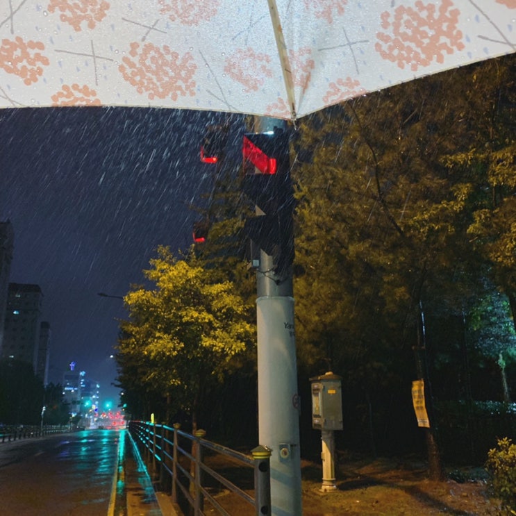  일상_2019.09.10