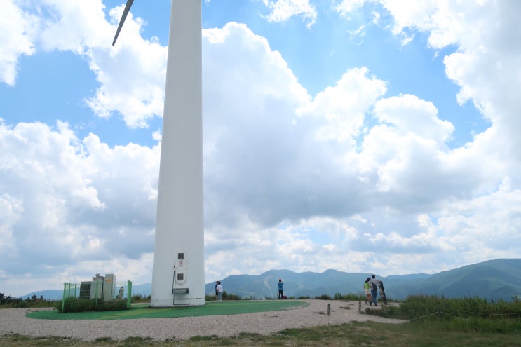  태백 가볼만한곳 매봉산 바람의 언덕 배추밭