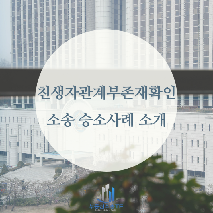  친생자관계부존재확인 소송 승소 사례