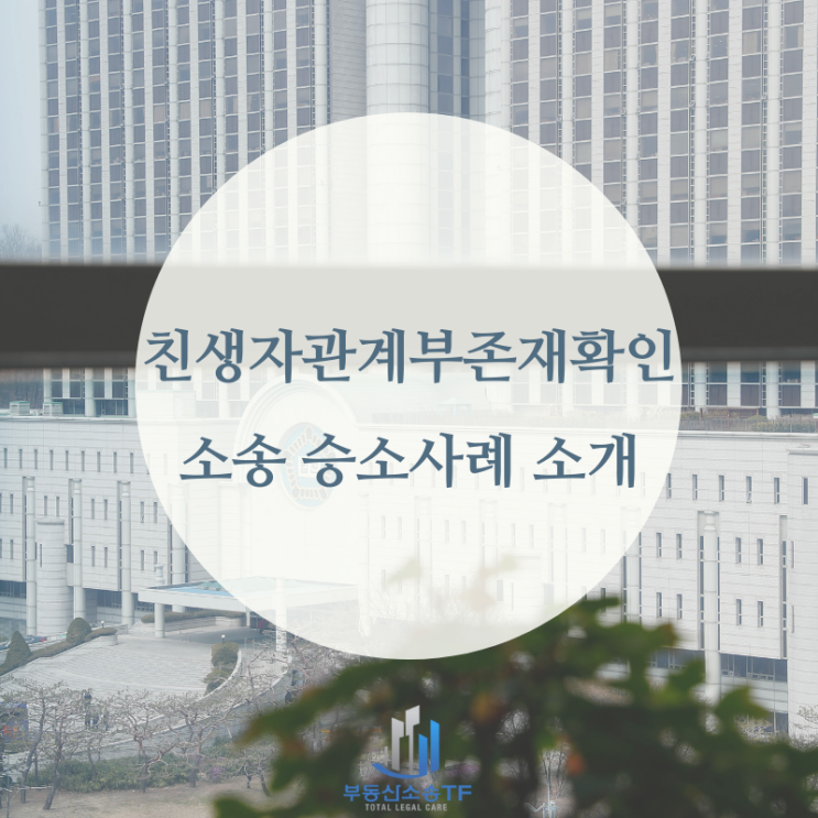 친생자관계부존재확인 소송 승소 사례