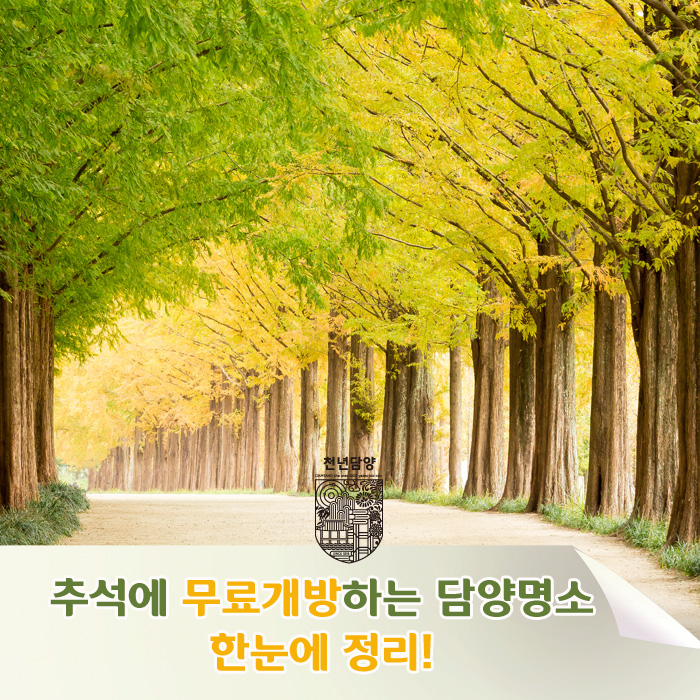  추석 무료 개방하는 담양 관광명소 한눈에 정리!