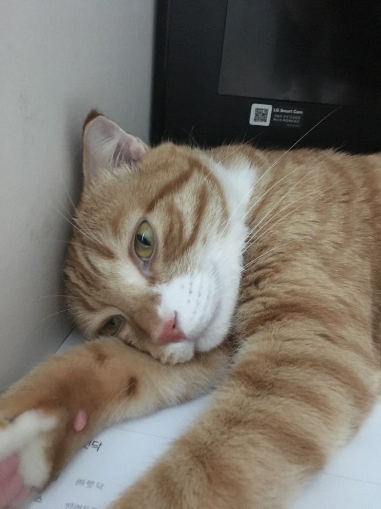  2019년 추석 잘보내세요-!
