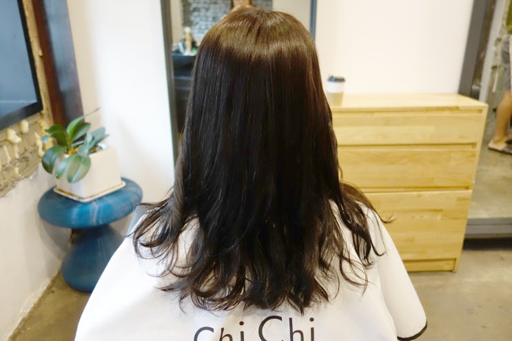  청담동 미용실 치치라보에서 클리닉한 후기