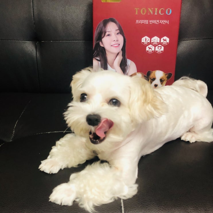  강아지자연식 [토니코 애견습식사료] :: 서은수사료, 사료잘안먹는강아지, 기호성좋은사료, 반려견사료, 맛있는사료