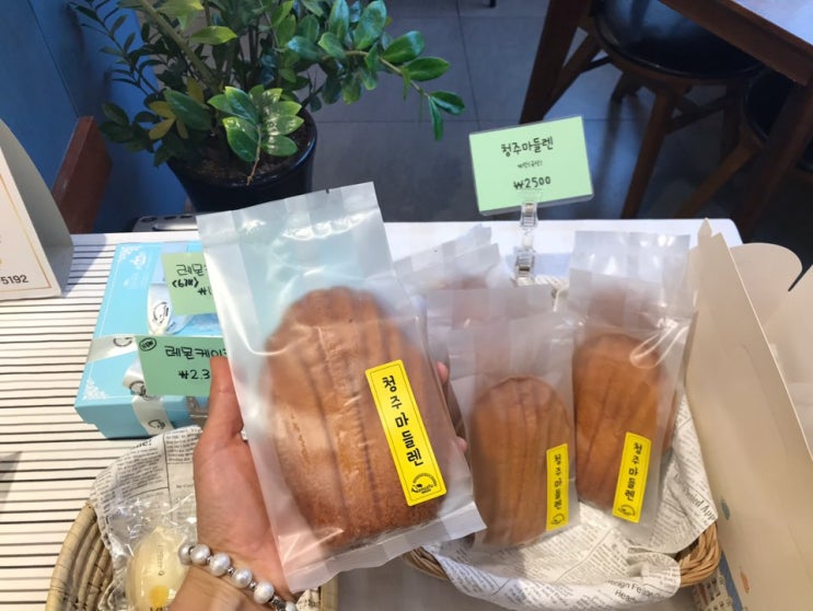  청주 맛집 / 천연발효종을 사용하고 좋은재료로 만드는 빵집 #바누아투 과자점