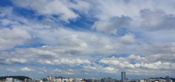  빛의 과거_ 은희경 장편소설 / 문학과 지성사
