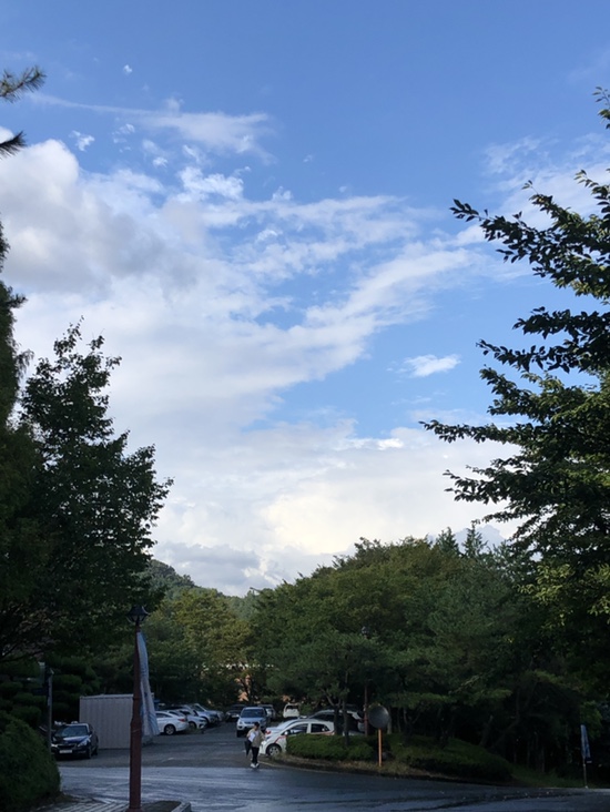  1차사정회 지나갔다