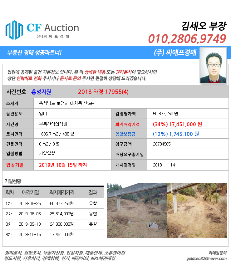  [2018타경17955(4)] 충남 보령 내항동 1천만원대 임야경매