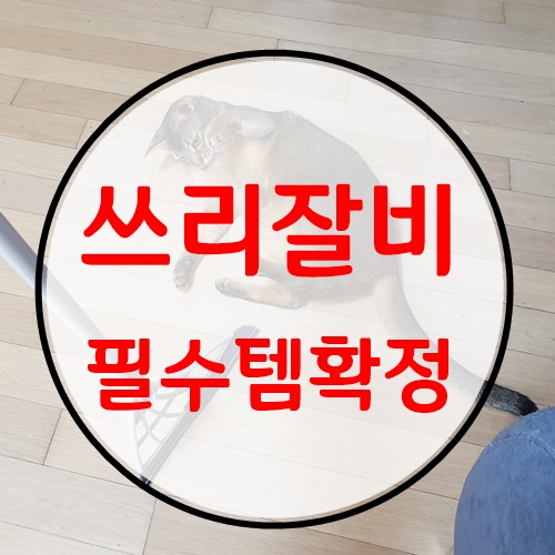  쓰리잘비 필수템 확정