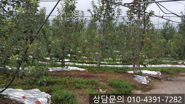  옥천 누수탐지공사 합리적인 전문업체 제일누수탐지
