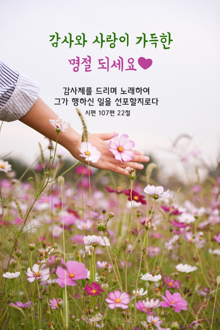  #추석인사말말씀 #추석말씀 #감사와사랑 #하나님말씀 #성경말씀 #말씀카드 #추석말씀카드