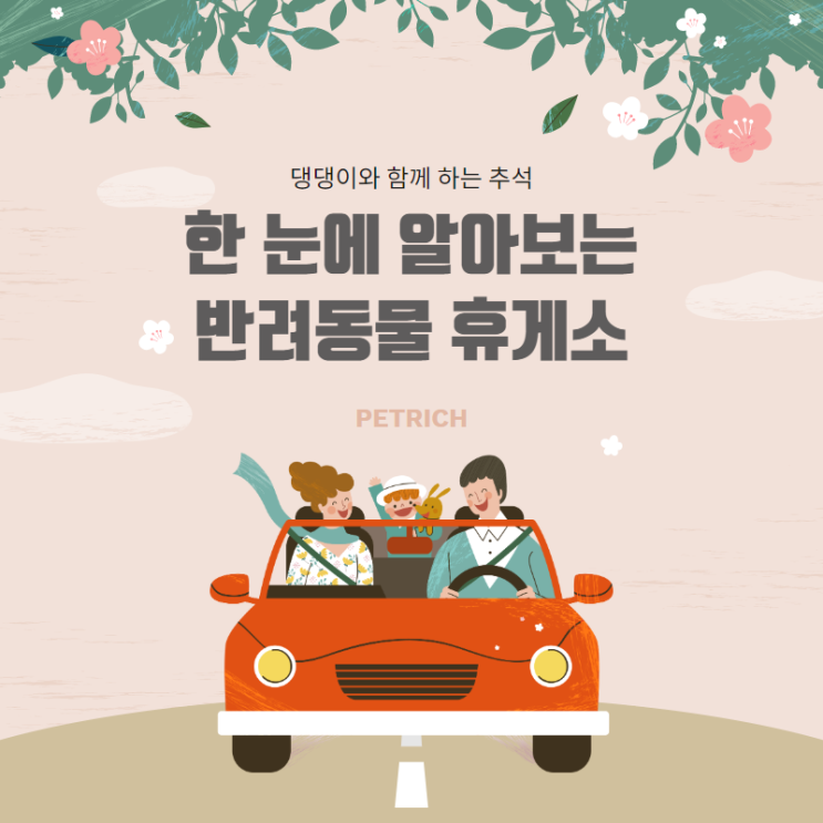  [추석특집] 반려동물 휴게소