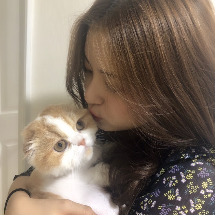  8월 Part.1 시간 너무 빨라