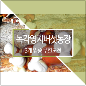  3개 업종 무한도전, 녹각영지버섯농장