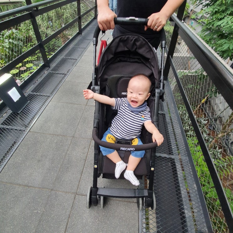 13개월 아기 달콩: 동물원(부천 나눔농장) vs 식물원(마곡 서울식물원)