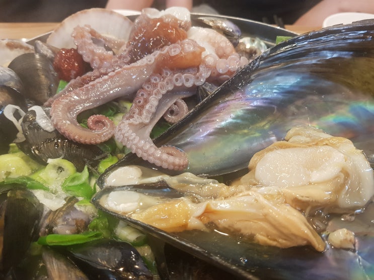 위로가 되는 동해 맛집 위로가 되는 동해 맛집