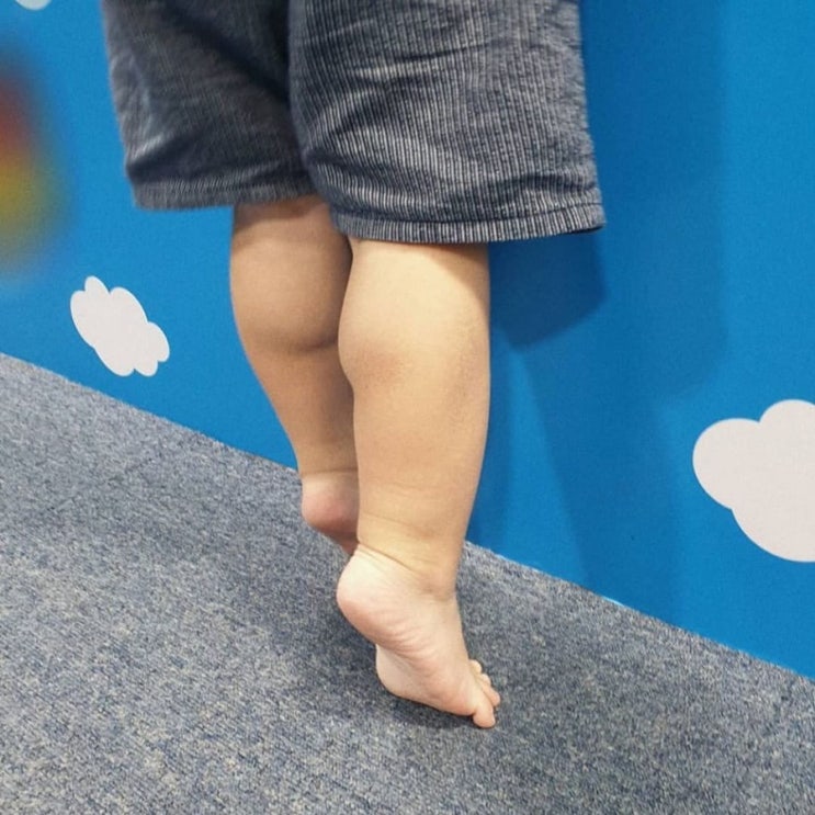  해추해추