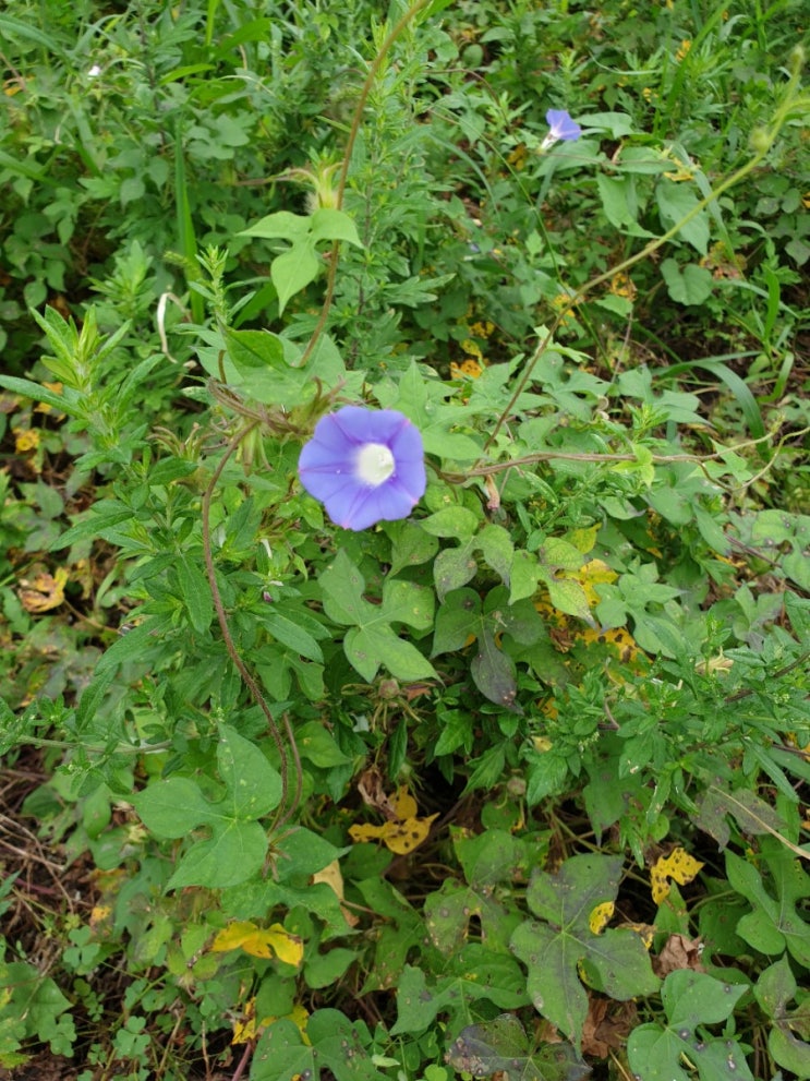  당신의 꿈을 시각화하십시요.
