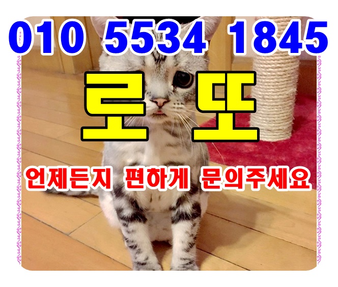  상봉동한국관 엗레엔에