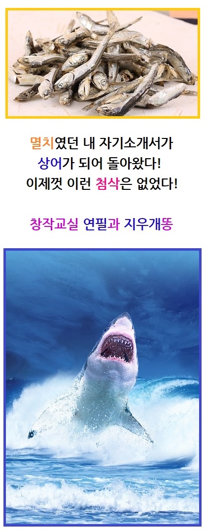  [자기소개서 첨삭] 네이버