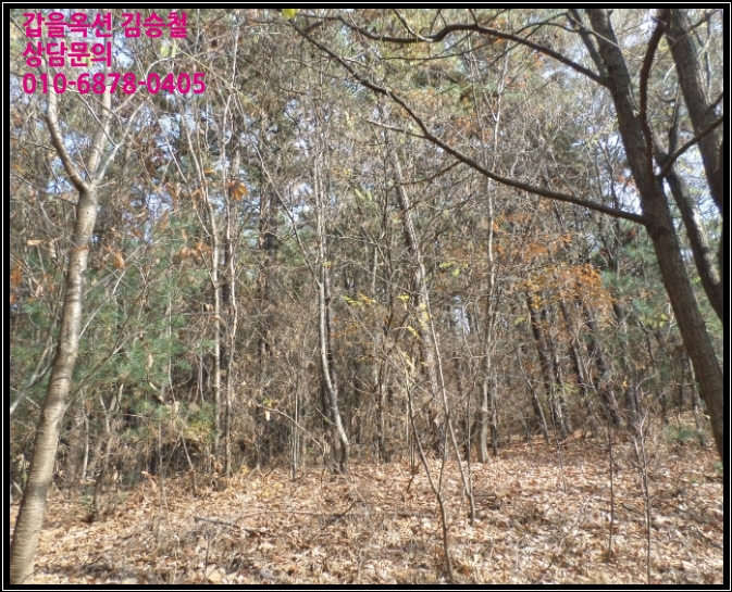   용인시 토지(임야)경매 경기 용인시경매>경기 용인시 수지구 신봉동 산25-4 경매 입찰문의# 2018타경23819