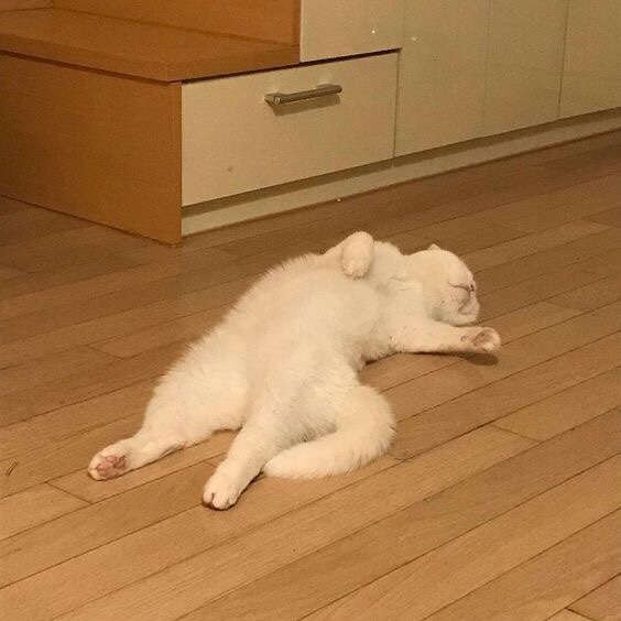  ①