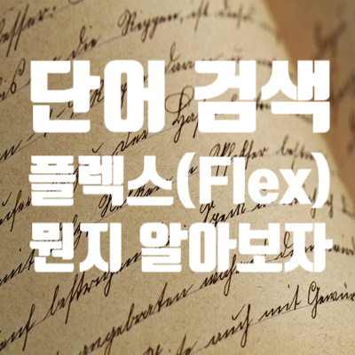 [단어 검색] 플렉스(Flex)  뜻에 대해 알아보자 !