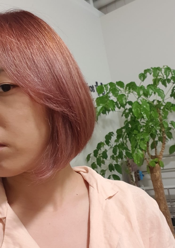  제주도미용실:: 제주시 탈색잘하는 블루미헤어
