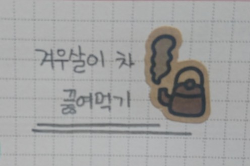  물 끓여먹기 [ 겨우살이 차 ]
