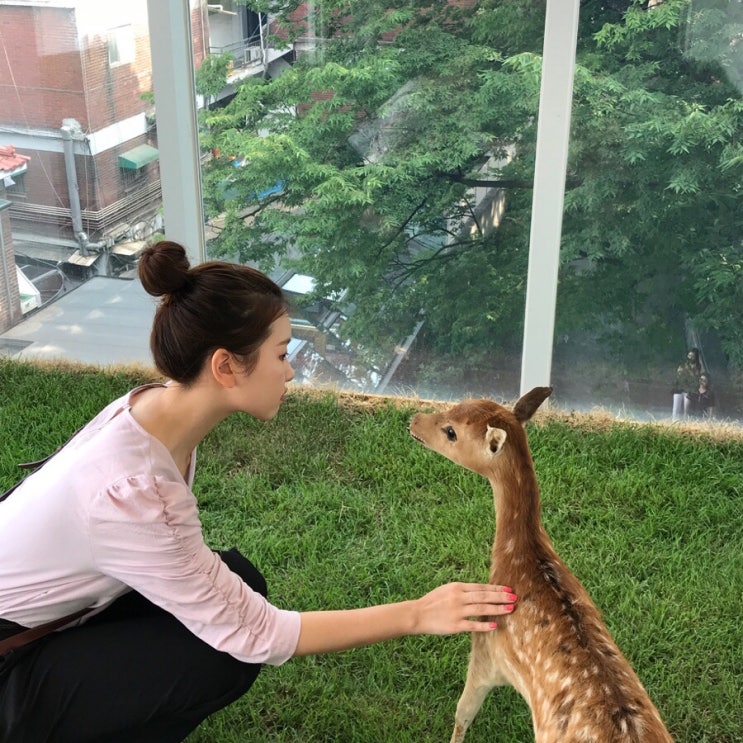  똥머리의 저주