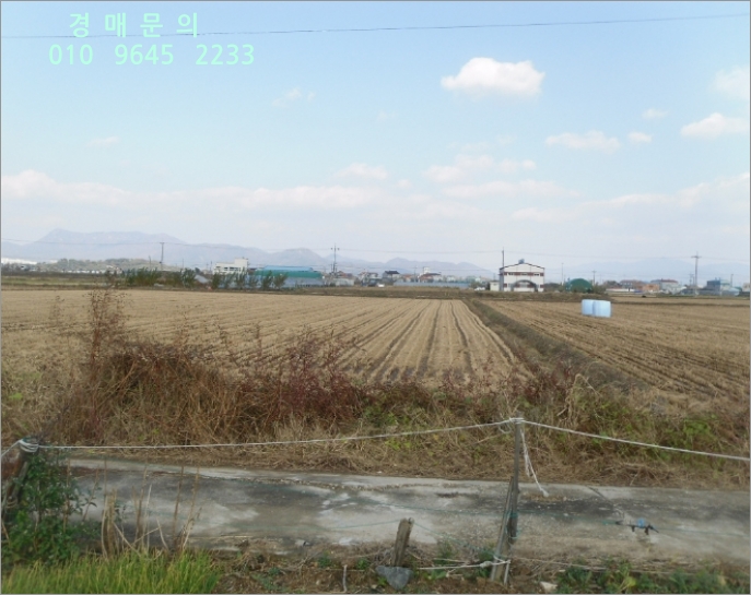  [2018타경105164] 부산 강서구 봉림동 935-4  <<토지(답)경매>>