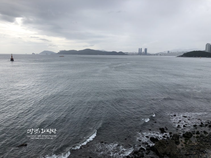  해운대 미포 카페 :: 디저트맛있고 뷰 핵이쁜 #엣지993