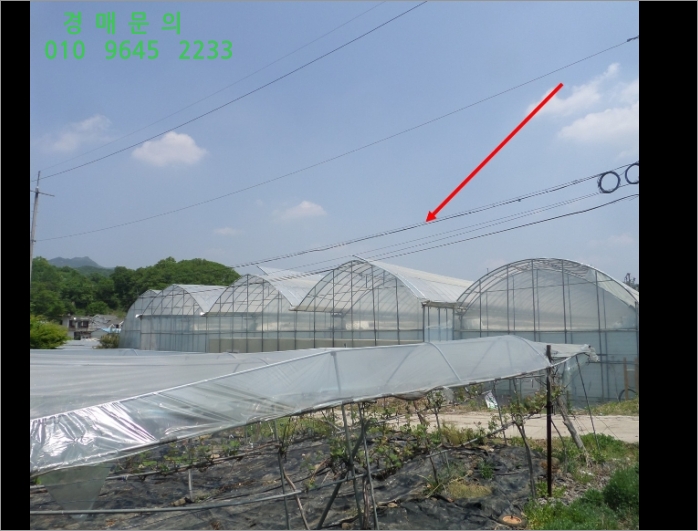  [2019타경9005] 경기 가평군 상면 율길리 219-7 <<토지(전)경매>>
