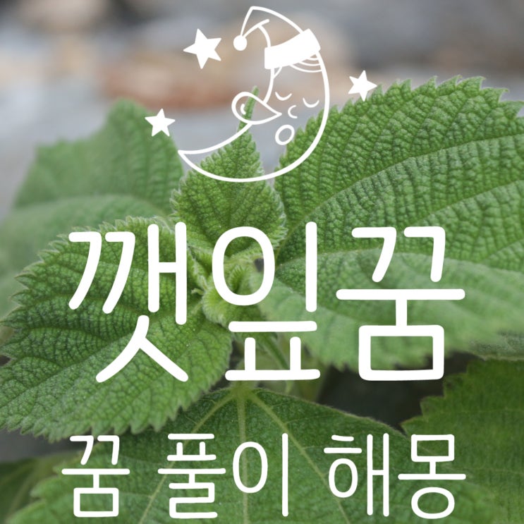 깻잎꿈 꿈 풀이 해몽