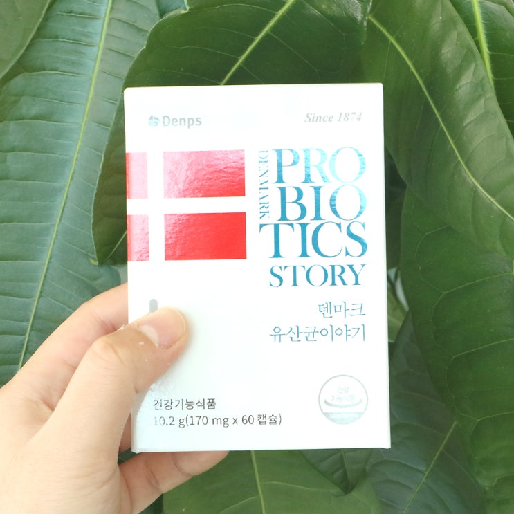  LGG유산균추천 덴마크 유산균이야기