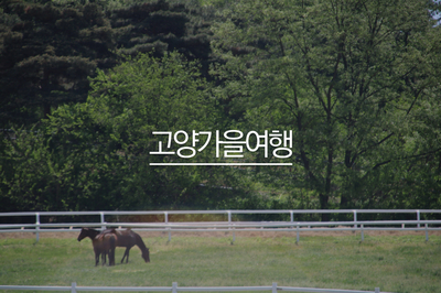  경기도 여행 렛츠런팜 원당(원당 종마공원)지나 중남미문화원까지