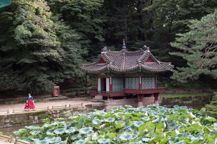  부용정