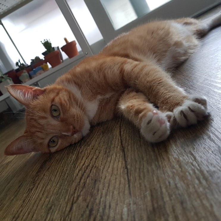  오늘 너무 너무 한가해요~