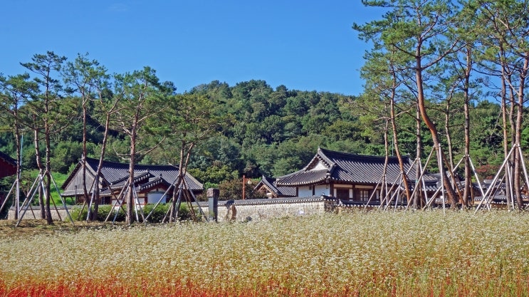  논산 가볼만한 곳 - 유네스코 세계문화유산 돈암서원 (솔바람길 트레킹 코스 1편)