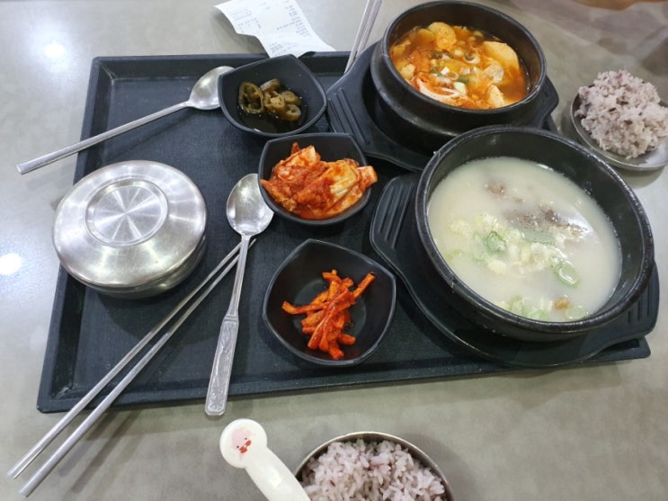 일상로그 안동편 일상로그 안동편