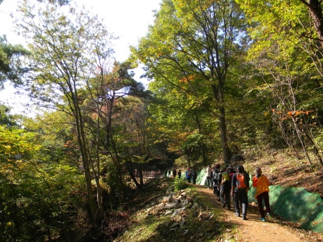  화순 만연산에서 만난 상큼한 숲길, 만연산숲길~오감연결길 (큰재에서 바라본 무등산)