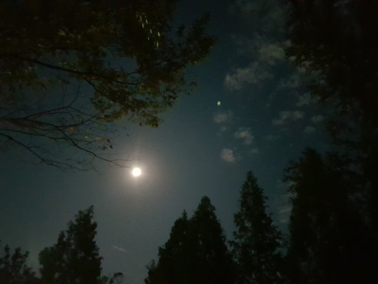 팔월이라 한가위 야밤의 보름달구경!^^
