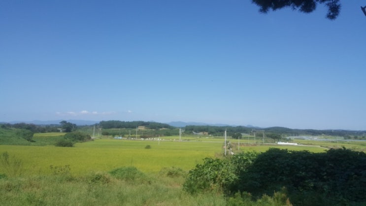  추석명절과 동탄비지텅영어학교