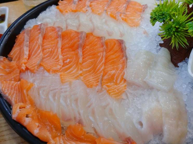  연어가 맛있는 수촌마을 수원 횟집