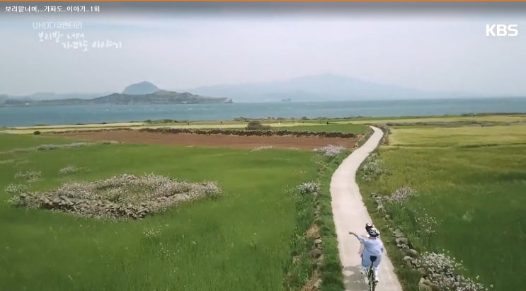  kbs1 다큐 "보리밭 넘어, 가파도 이야기" 방송 후..