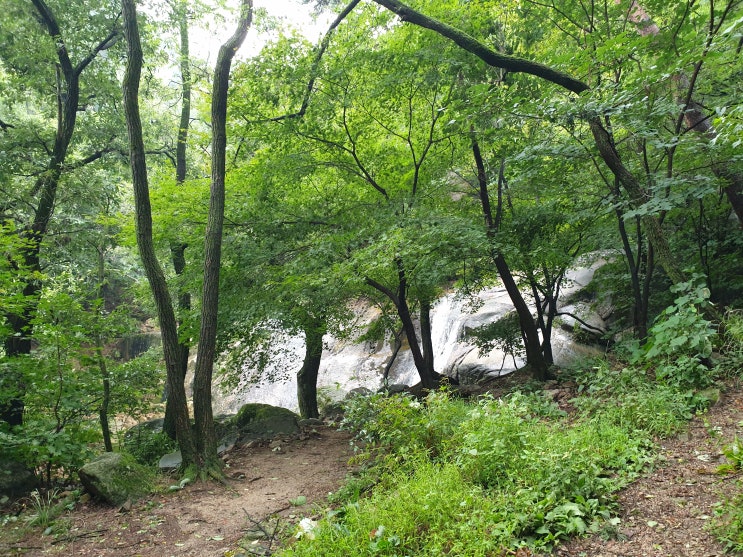  [가고싶은산] 해남 대흥사,두륜산 - 190912 - 동백나무숲과 암벽들