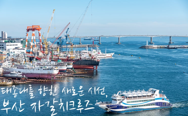 부산 가볼만한곳 자갈치크루즈 부산 태종대 유람선