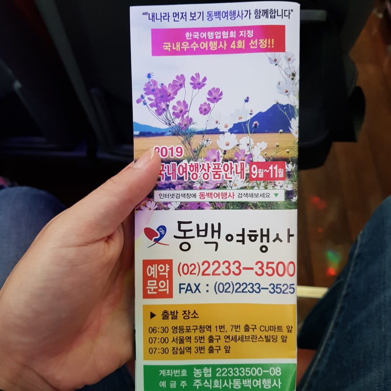 국내 패키지 여행 , 동백여행사] 추석 연휴 가족이랑 전라도 완도/청산도 여행 후기! : 네이버 블로그